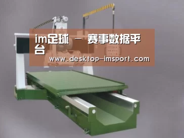 产品名称十
