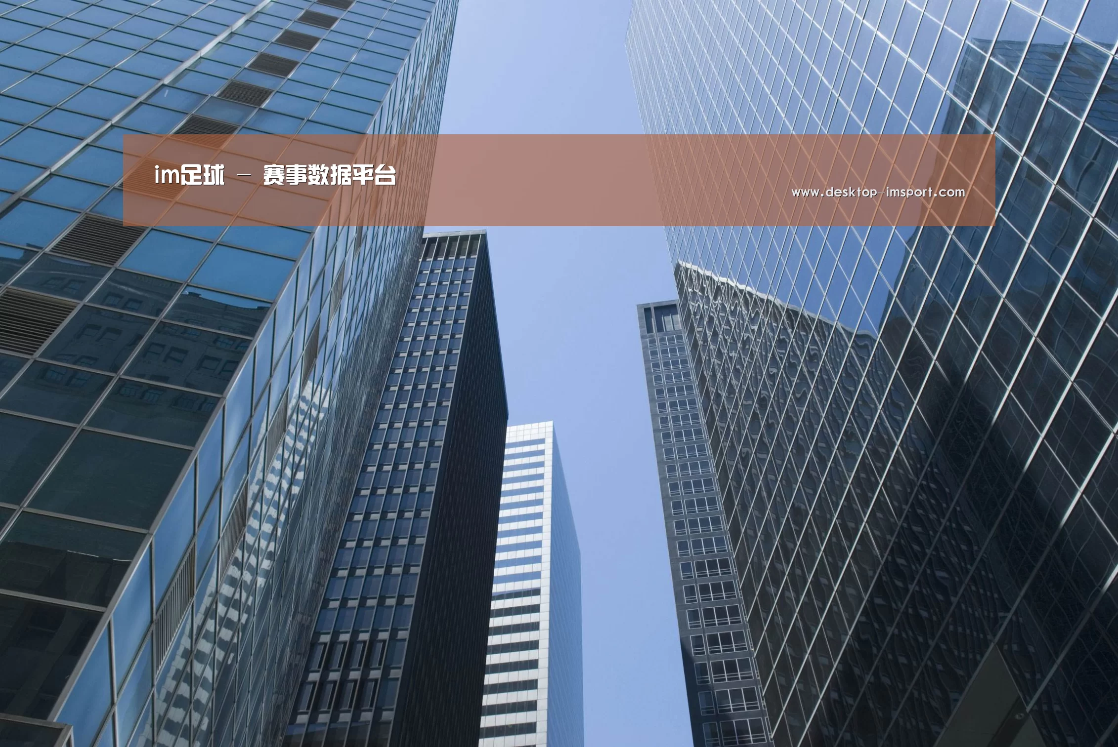 im体育公司简介 