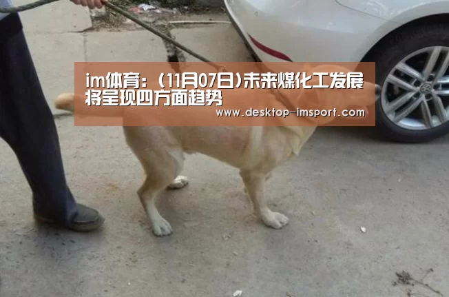 im体育官网
