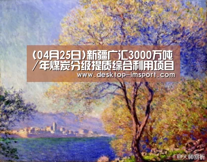 (04月25日)新疆广汇3000万吨/年煤炭分级提质综合利用项目点火成功【im足球】(图2) im体育