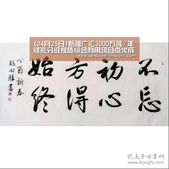 (04月25日)新疆广汇3000万吨/年煤炭分级提质综合利用项目点火成功【im足球】(图4) im体育官网