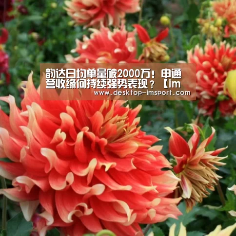 韵达日均单量破2000万!申通营收缘何持续强势表现?【im体育官网】(图1) im体育投注