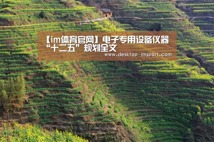 im体育